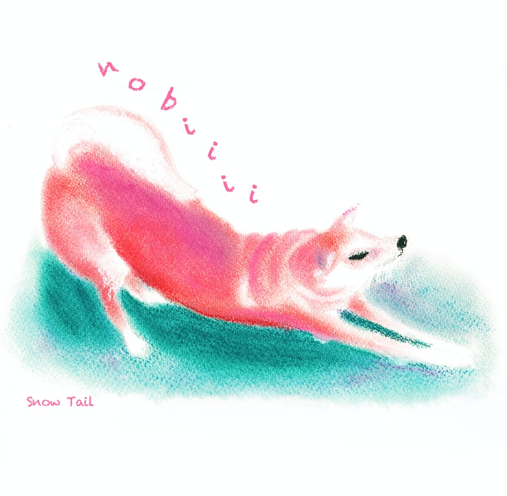 ノビノビわんこTシャツ