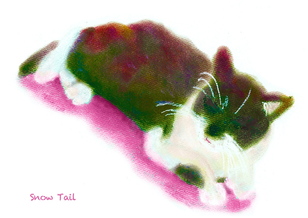 のんびりわんにゃんマグカップ