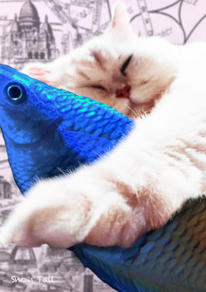 Dreams cats have リングノート