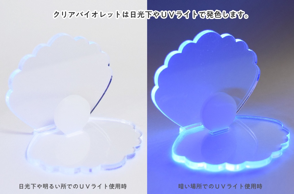 ぬいの貝殻スタンド