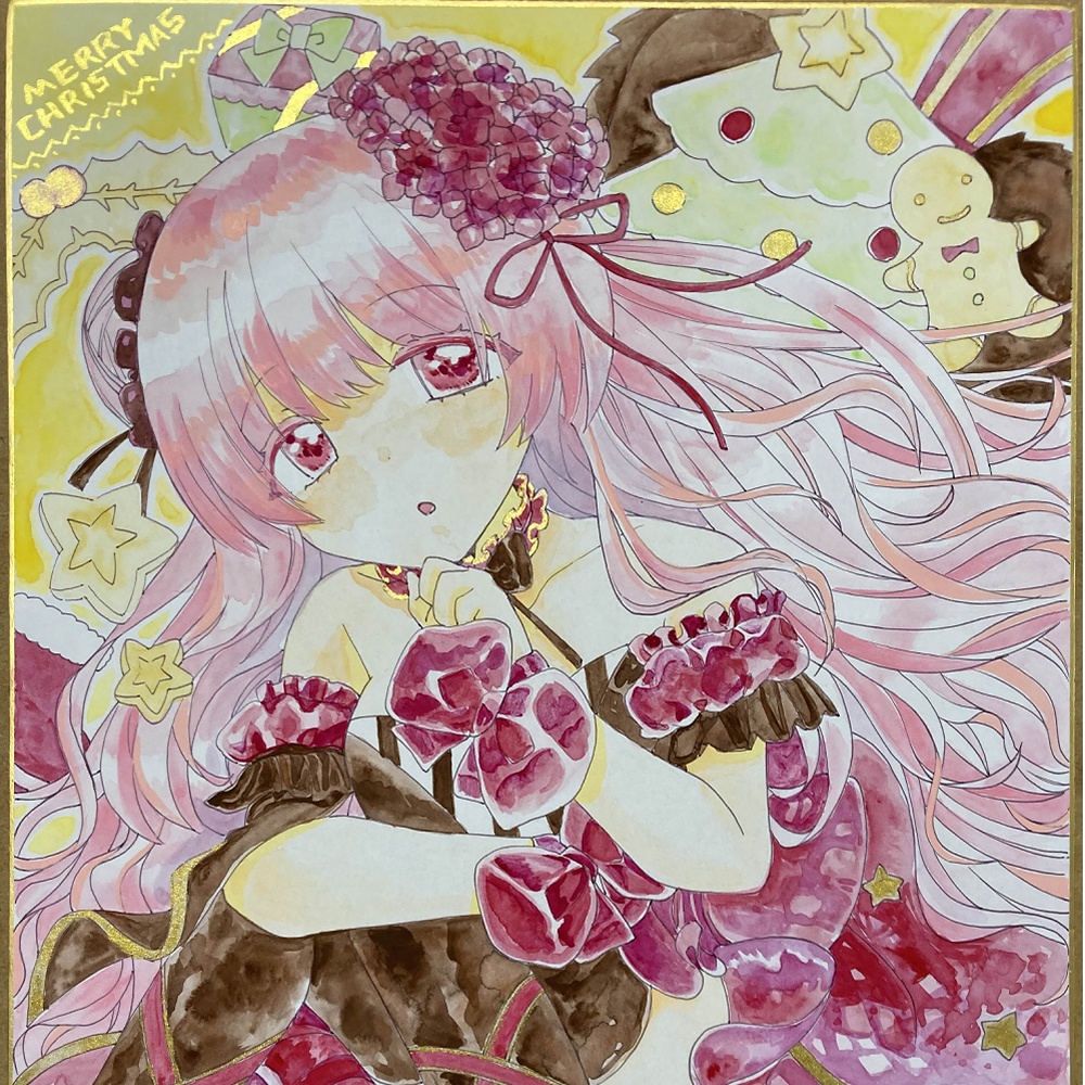 色紙【花騎士】クリスマスベゴニア