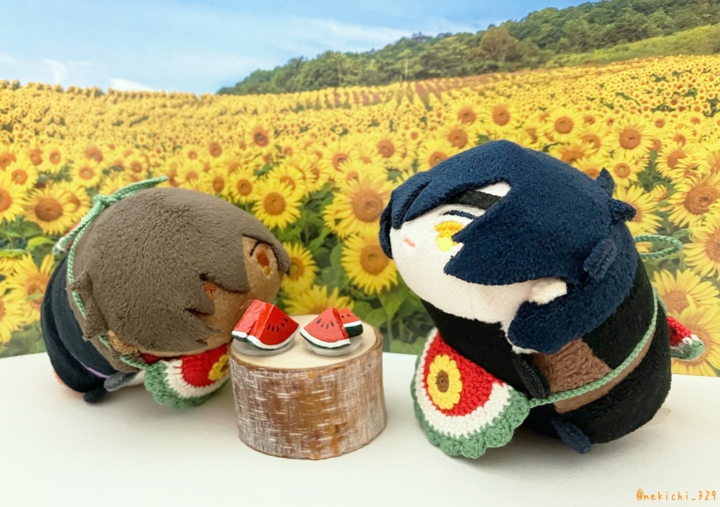 もち守&こもち守*すいかのすたい*