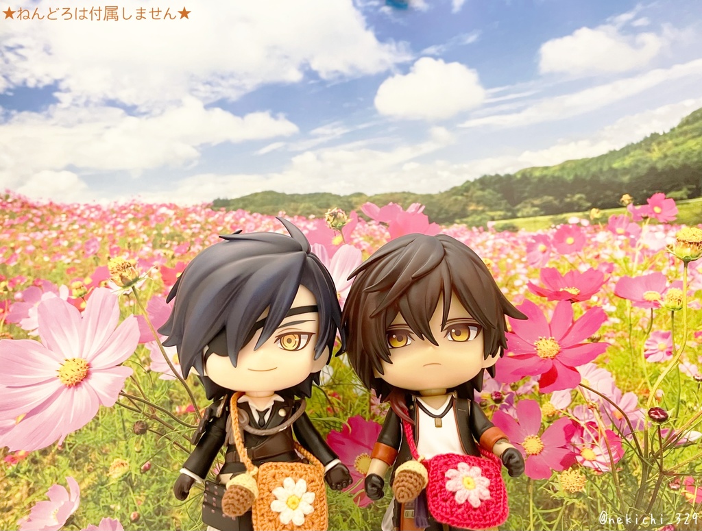 ねん守&ちゅん守*こすもすポシェット(どんぐりつき)*