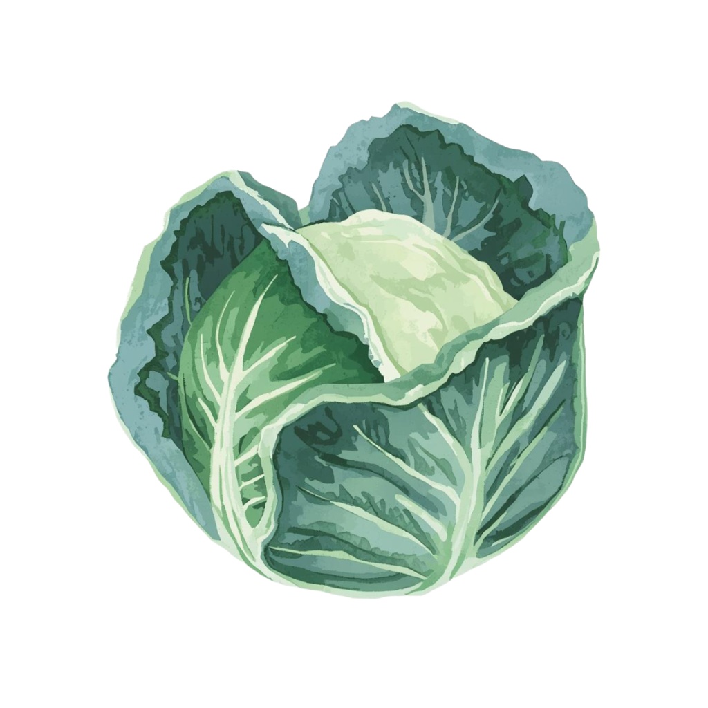 水彩タッチの手書き風野菜クリップアートセット(8種類)