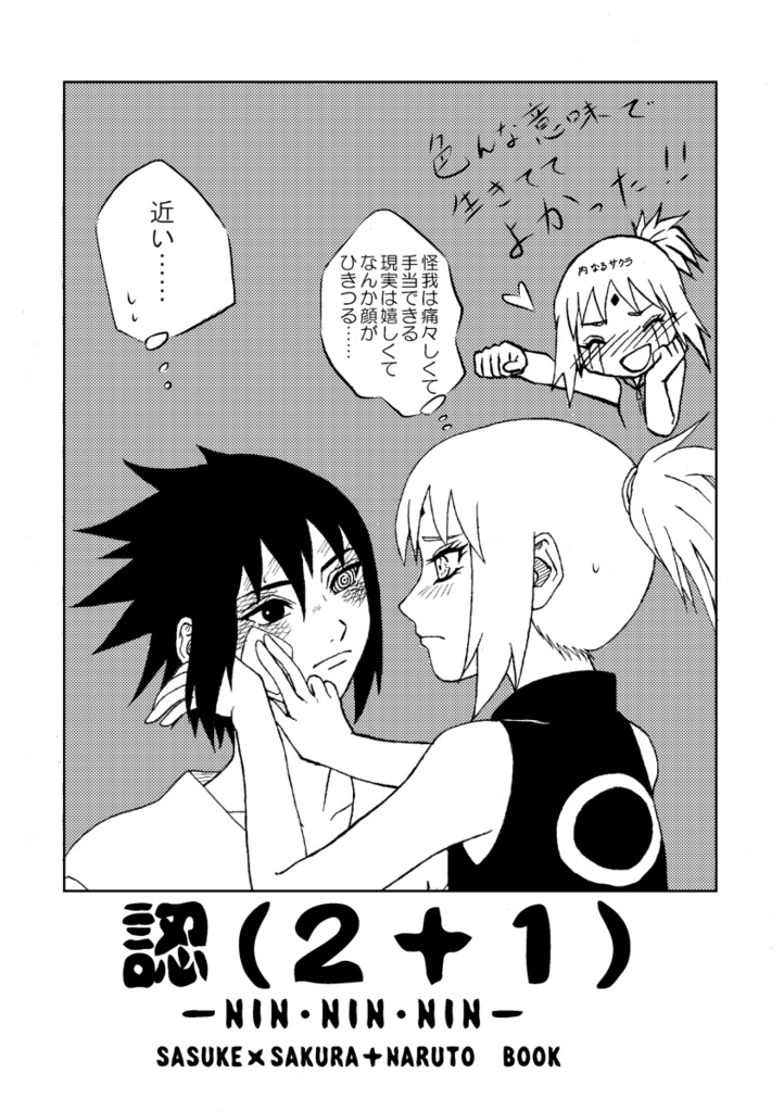 認(2+1)-NIN・NIN・NIN-