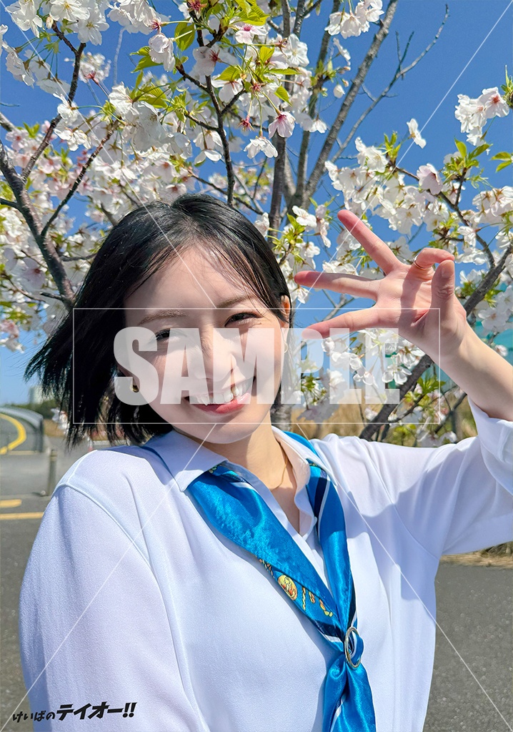 テイオーブロマイド2026春(5枚セット)