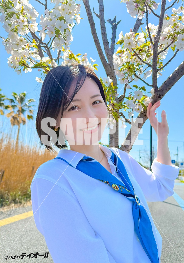 テイオーブロマイド2026春(5枚セット)