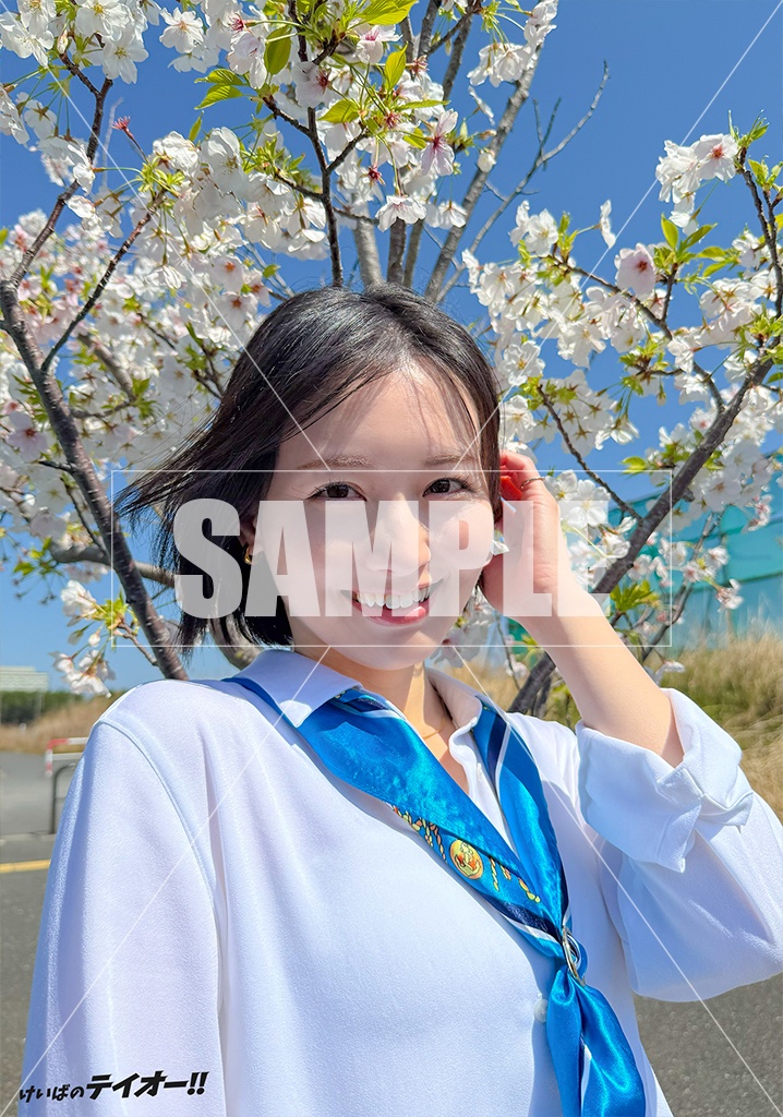 テイオーブロマイド2026春(5枚セット)