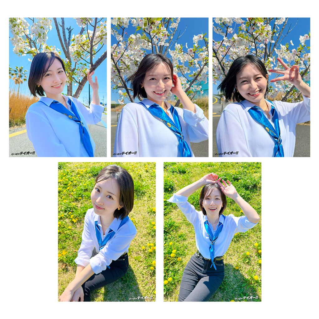 テイオーブロマイド2026春（5枚セット）