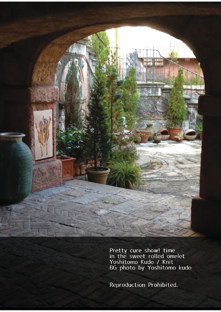 【PDF版】プリキュアショー!タイム 魔法つかいプリキュア!ポルトヨーロッパ