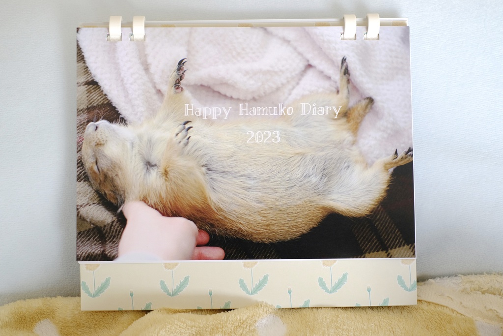 2023 Happy Hamuko Diary (2023年卓上カレンダー)