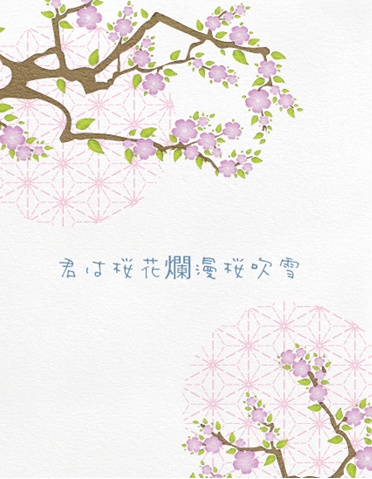 君は桜花爛漫桜吹雪