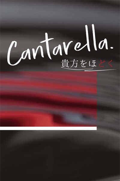 Cantarella　貴方をほどく