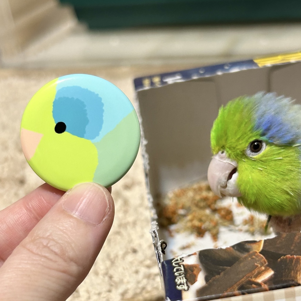 マメルリハのあたま缶バッジ