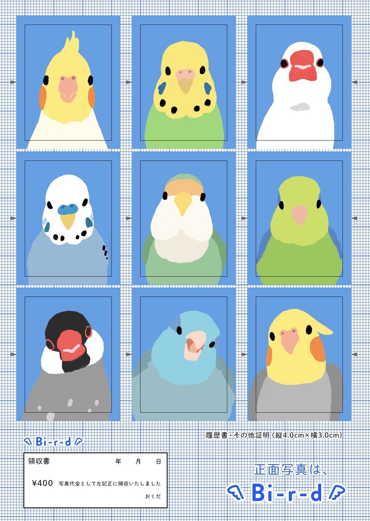 小鳥の正面写真シール