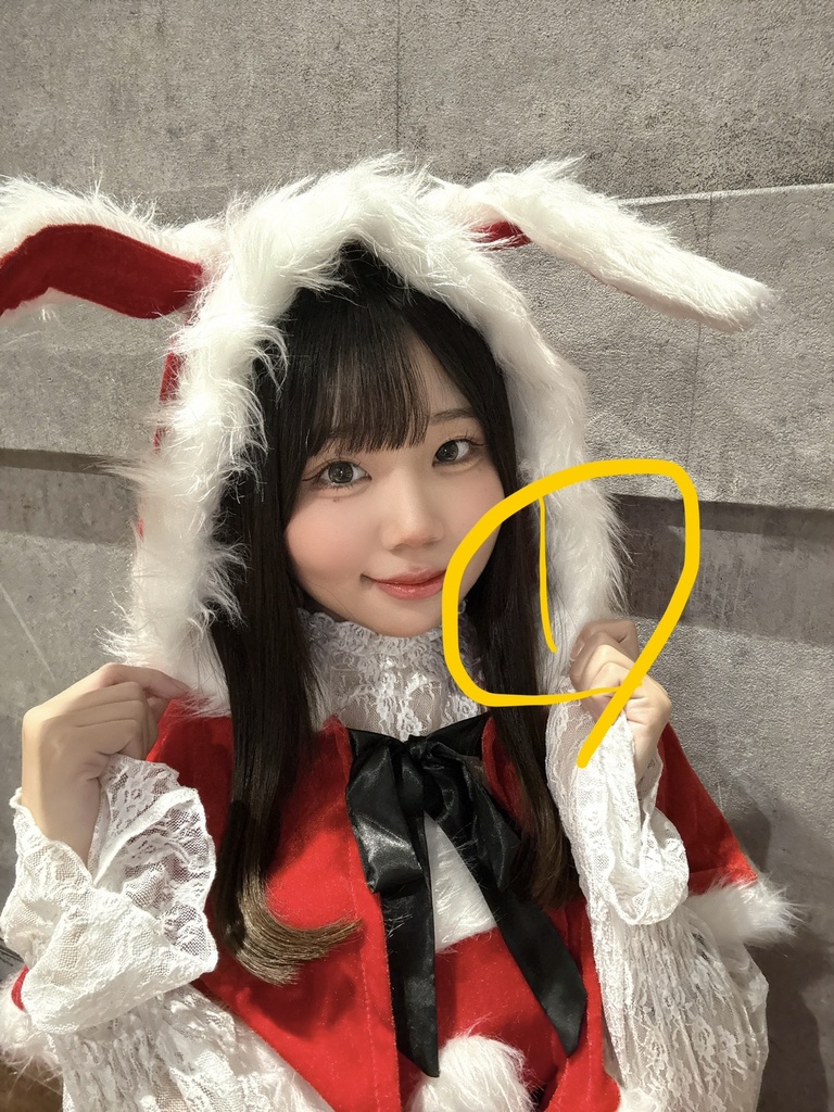 生誕🎂サンタさん衣装ブロマイド(全5種)