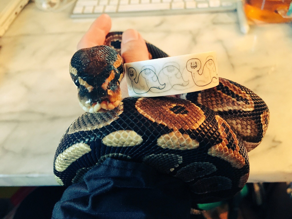 #003 ΠΥΘΩΝ(Python)/Ammonia Masking tapes