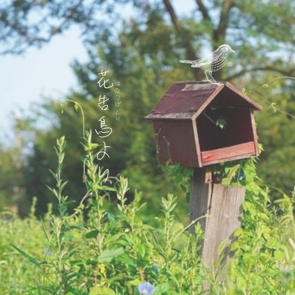 花告鳥より