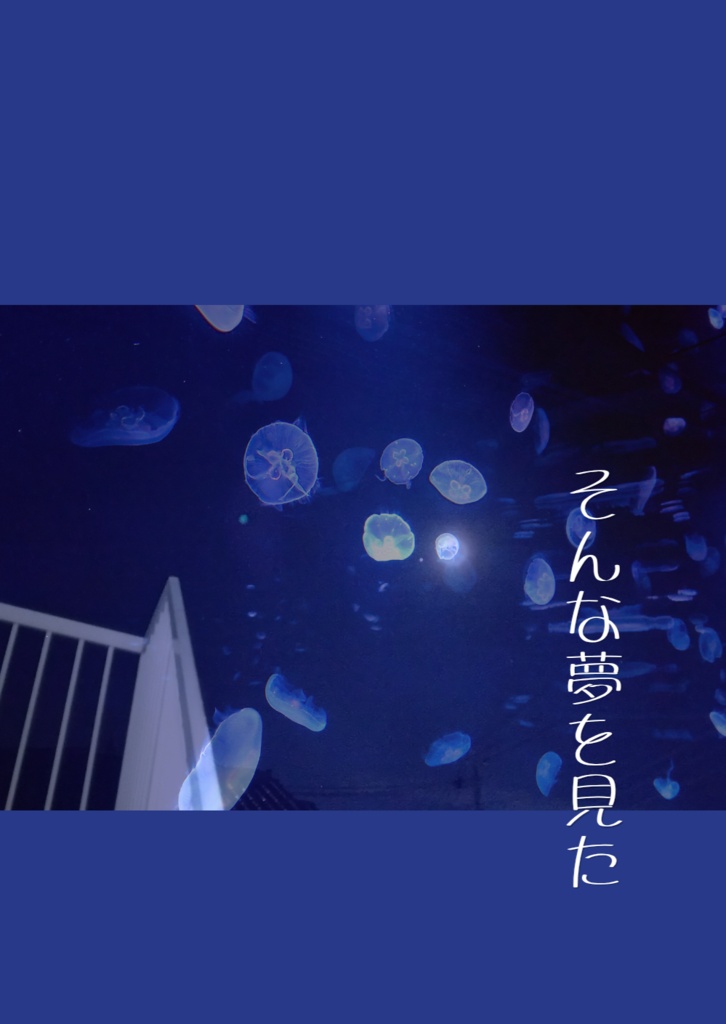 そんな夢を見た
