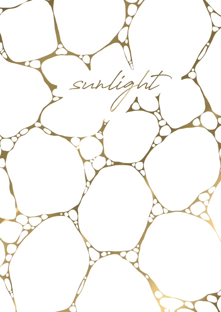 sunlight