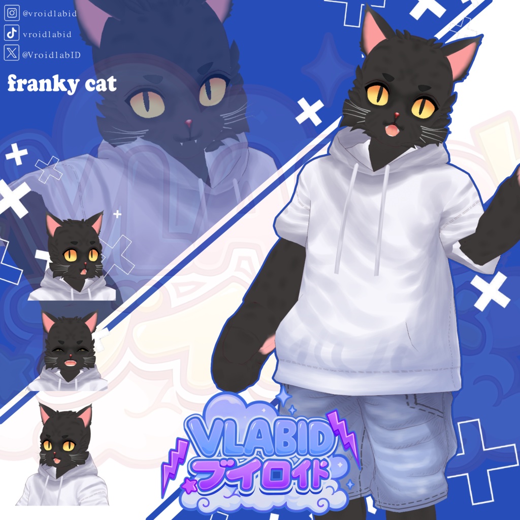 franky cat