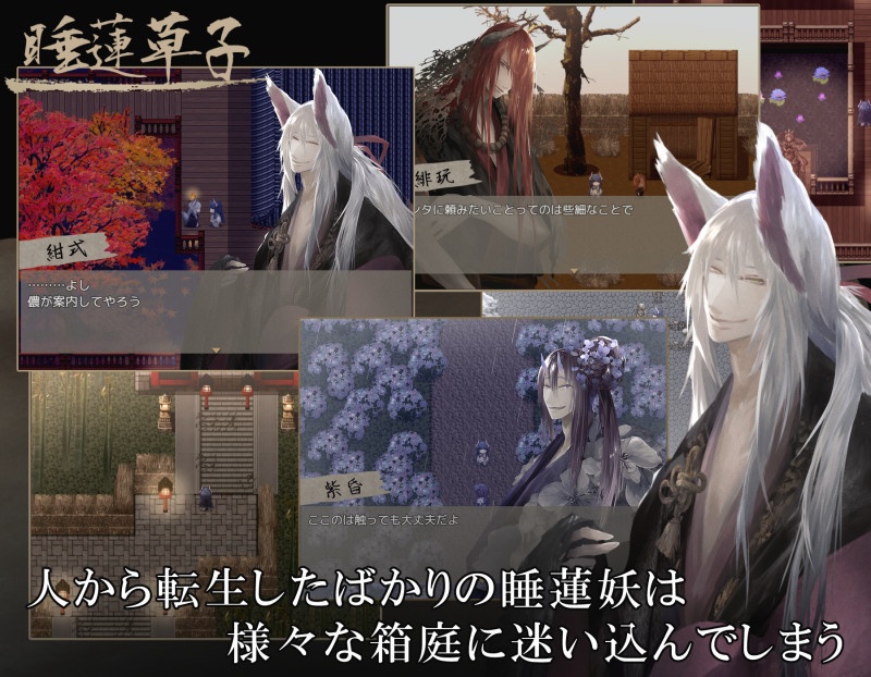 和風ADV 睡蓮草子