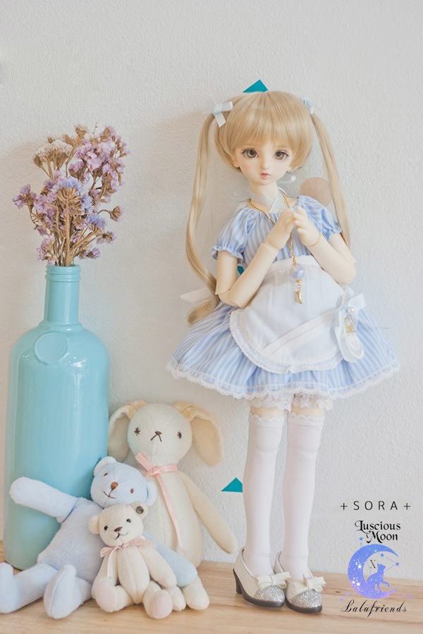 + SORA + ( MDD / MSD )