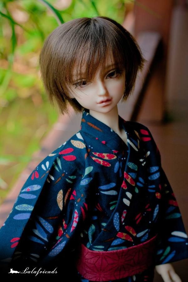 Midsummer Dragonfly (MSD / SDM) 藍色