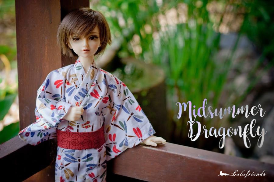 Midsummer Dragonfly (MSD / SDM)  白色