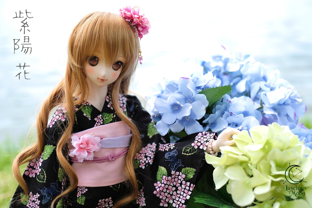 AJISAI - 夏の浴衣