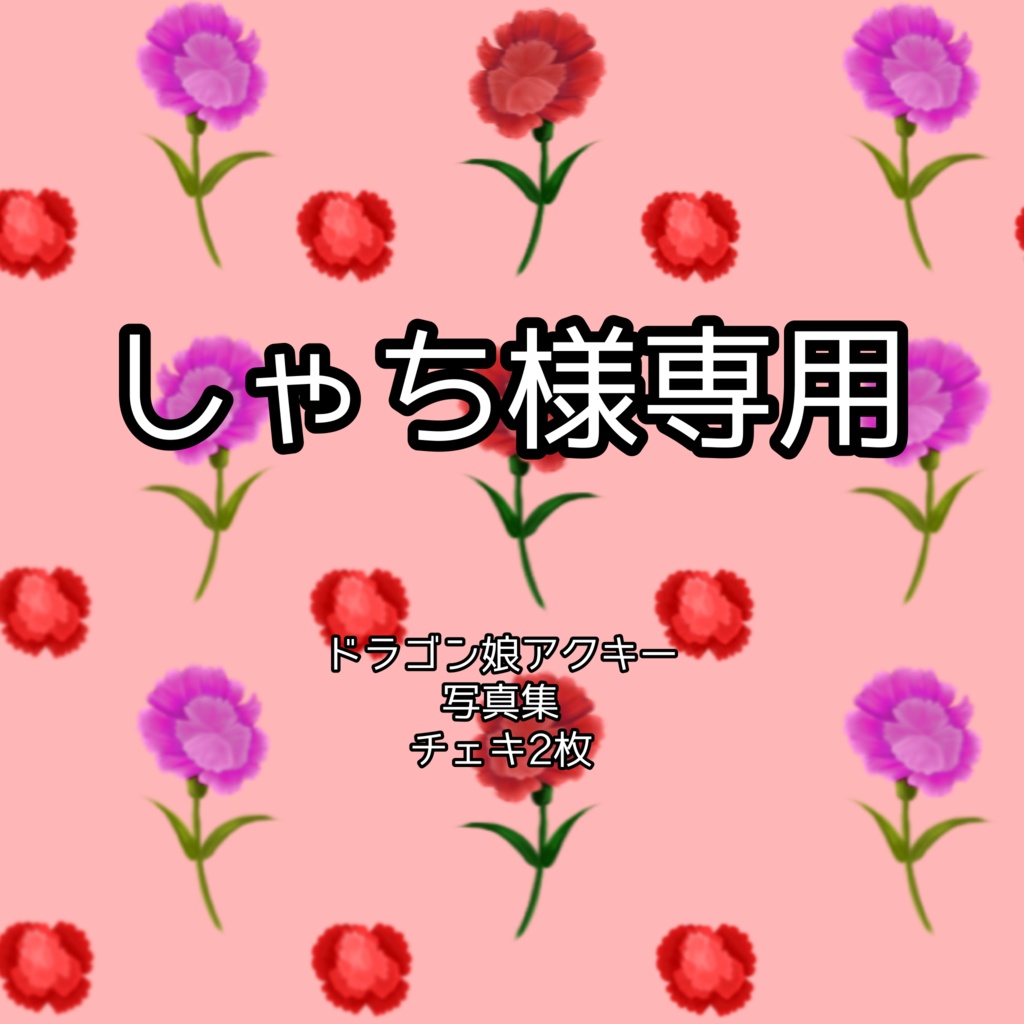 しゃち様専用