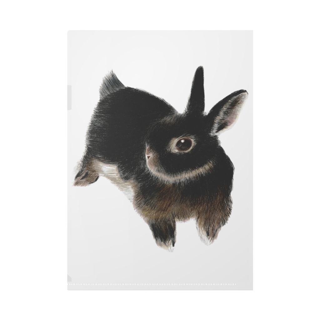 うさぎさん イラスト クリアファイル