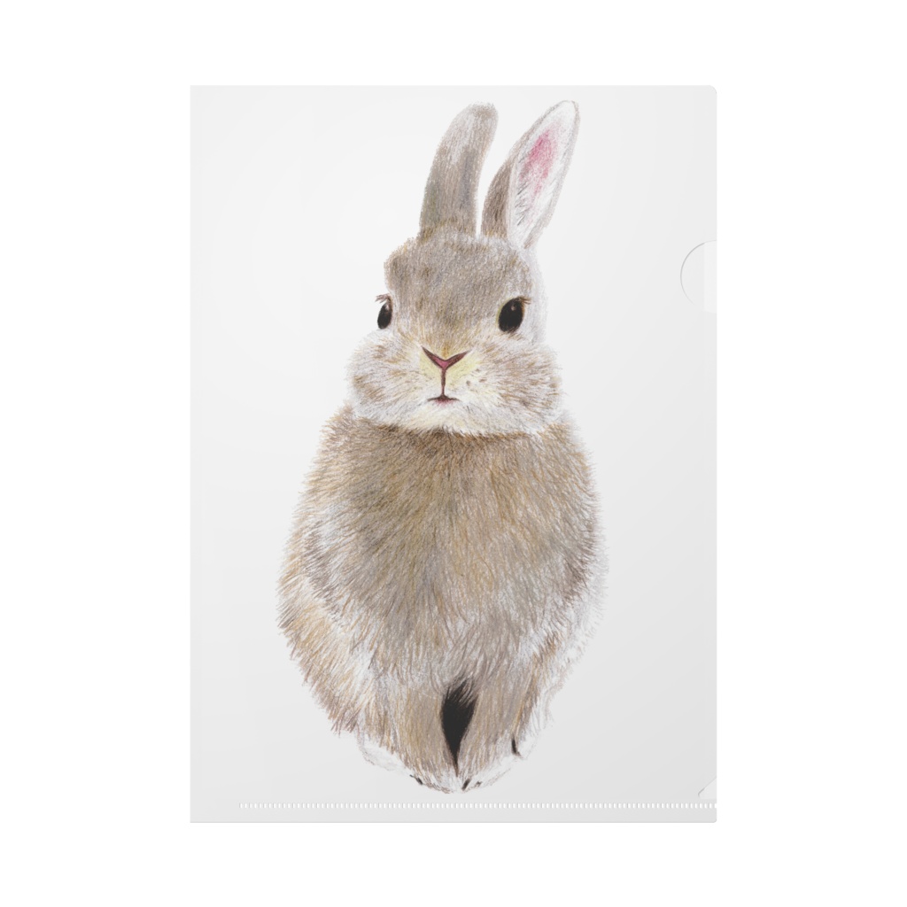 うさぎさん イラスト クリアファイル