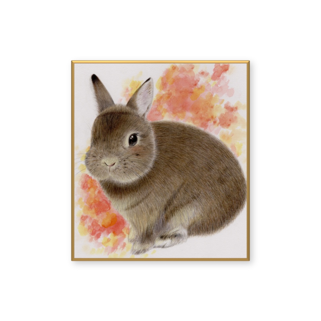うさぎさん ネザーランドドワーフ イラスト色紙