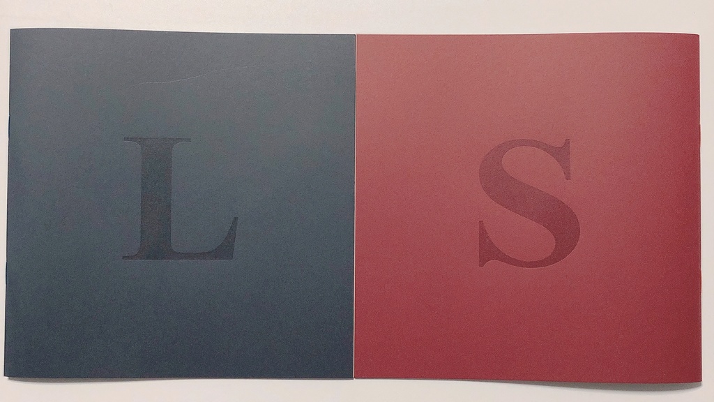 L and S
