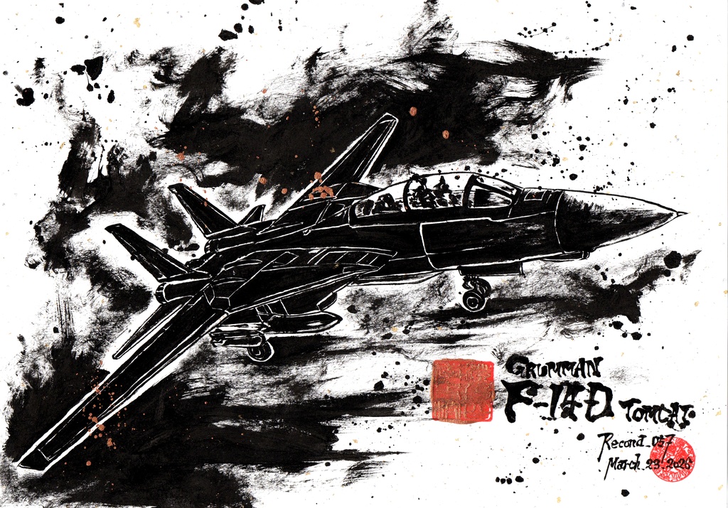 GRUMMAN F-14D TOMCAT / Standard SUMIE style