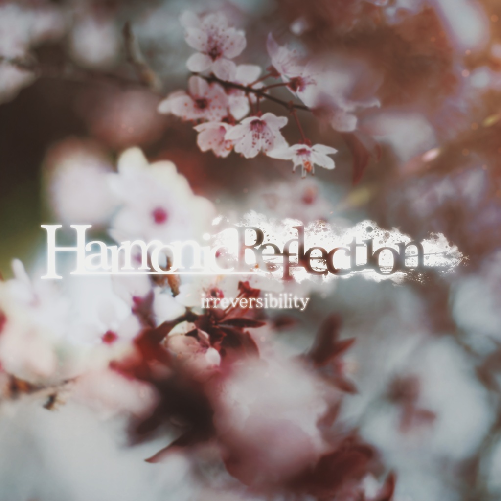 Harmonic Reflection - irreversibility