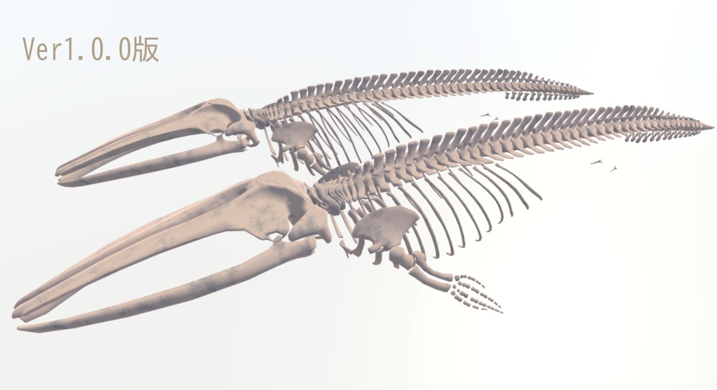VRChat想定アバター 鯨骨-WhaleBone-