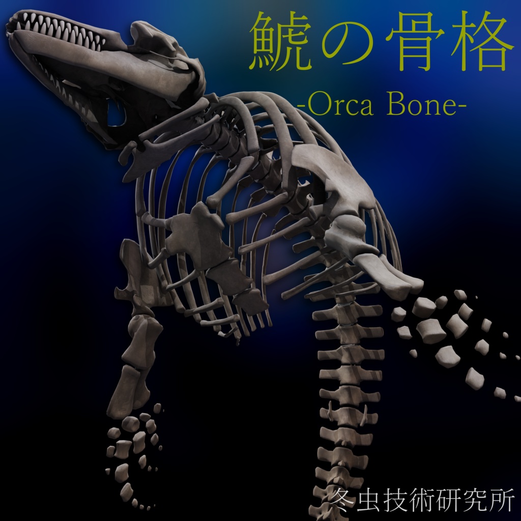 VRChat想定3Dアバター『シャチの骨格-Orca Bone-』