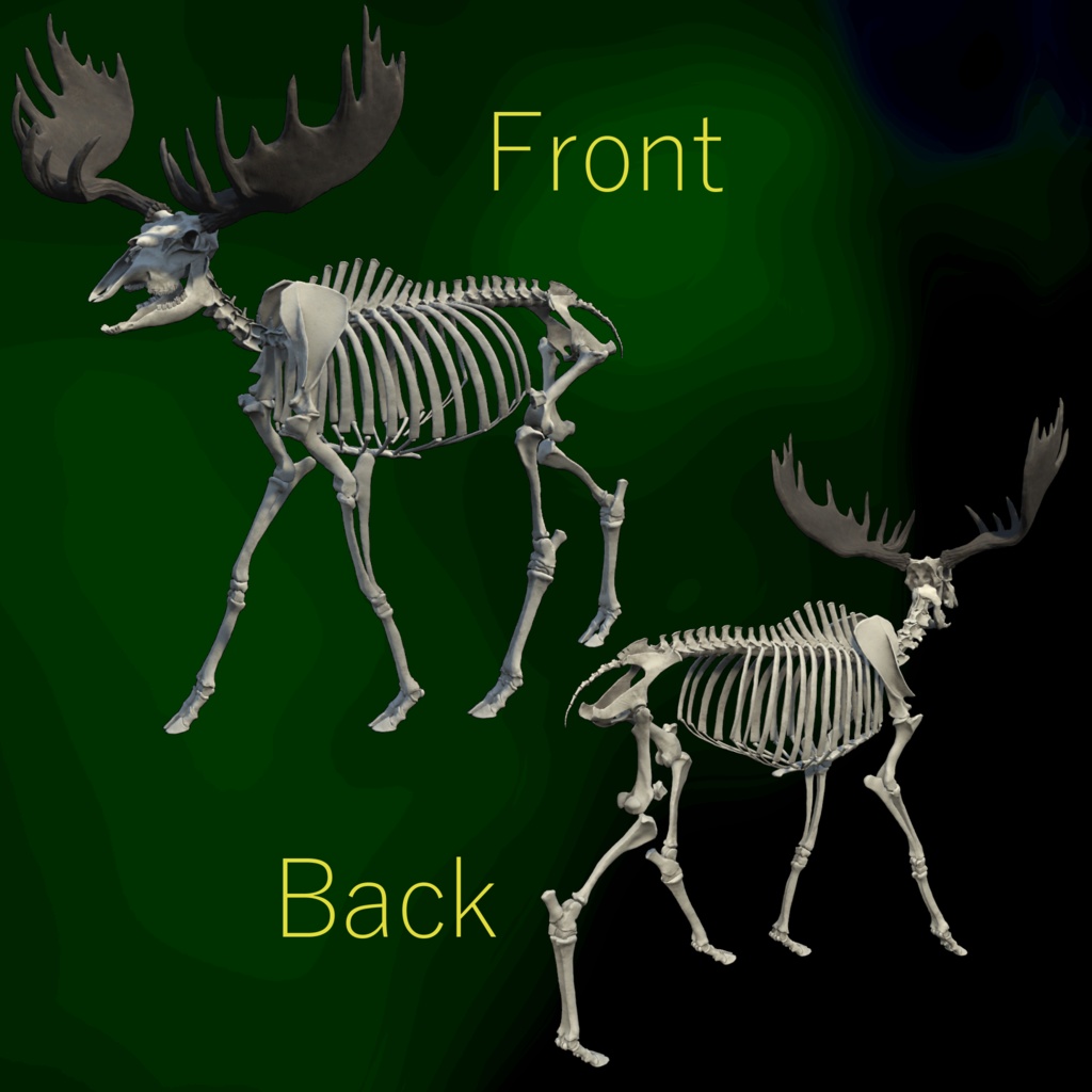 VRChat想定アバター ヘラジカの骨格-ElkSkeleton-