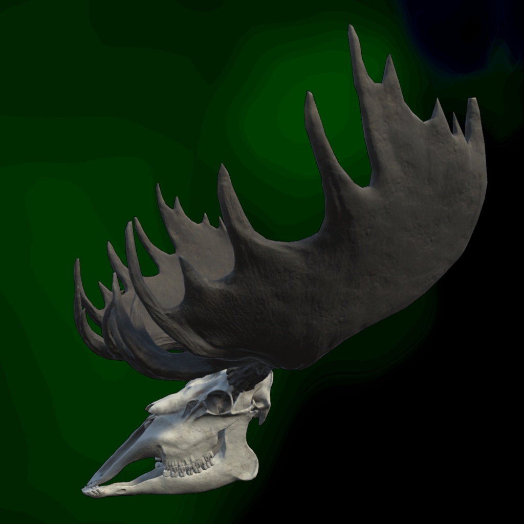 VRChat想定アバター ヘラジカの骨格-ElkSkeleton-