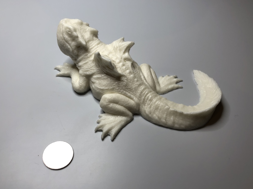 chubby dragon tadpole