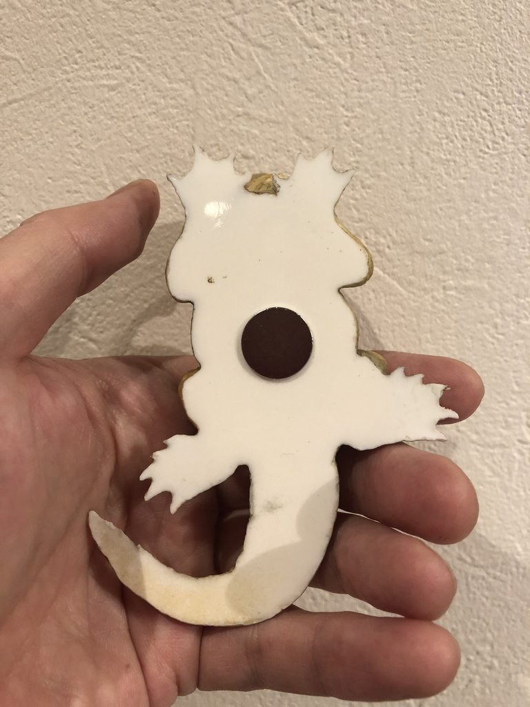 chubby dragon tadpole