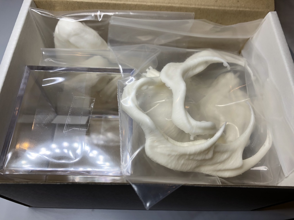 cthulhu:squid head form