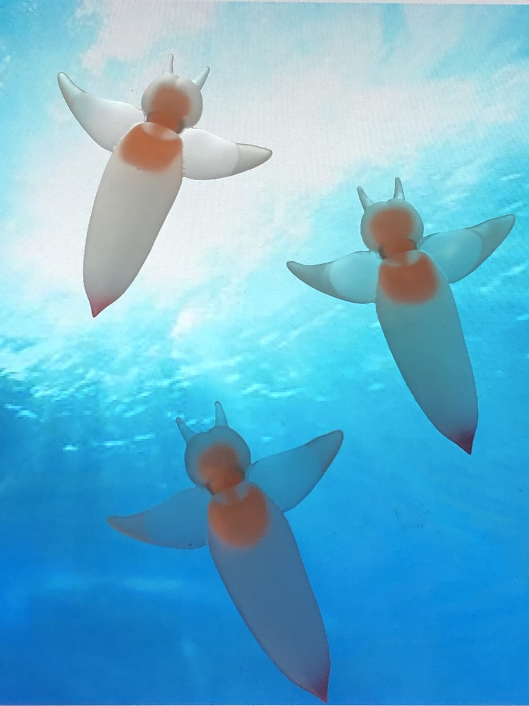 クリオネ蓄光マグネット完成品