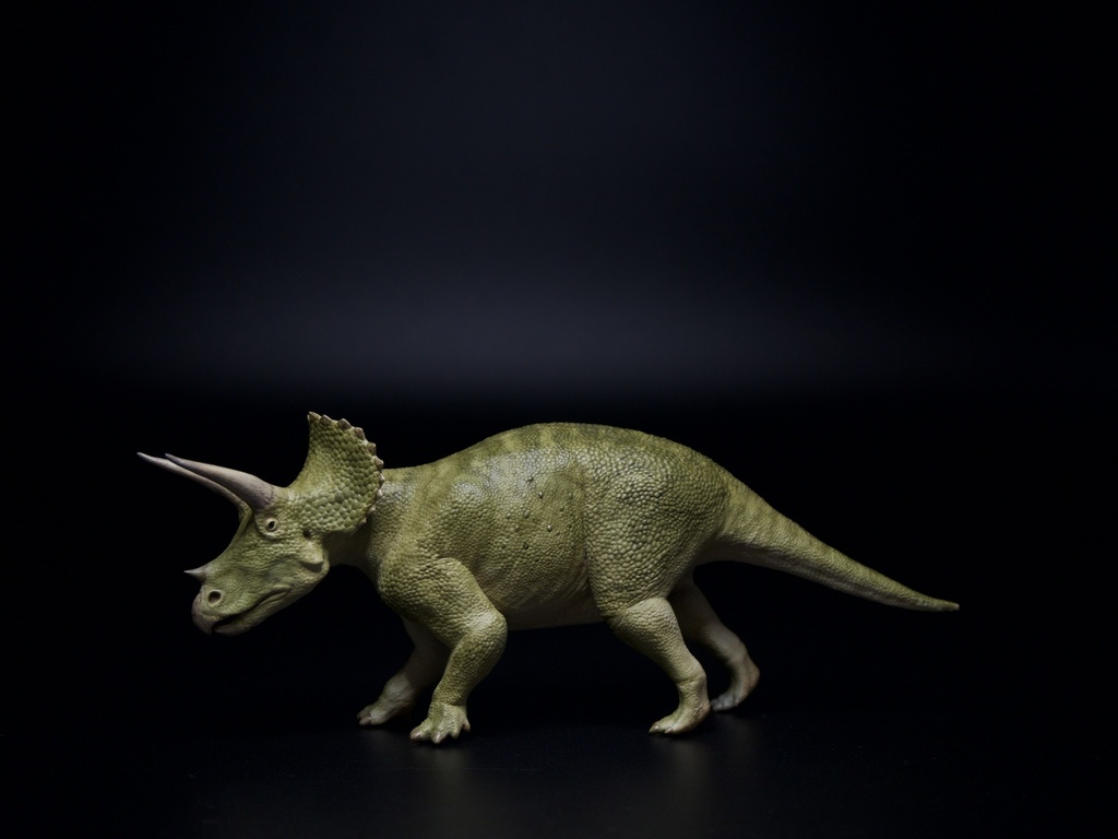 TRICERATOPS