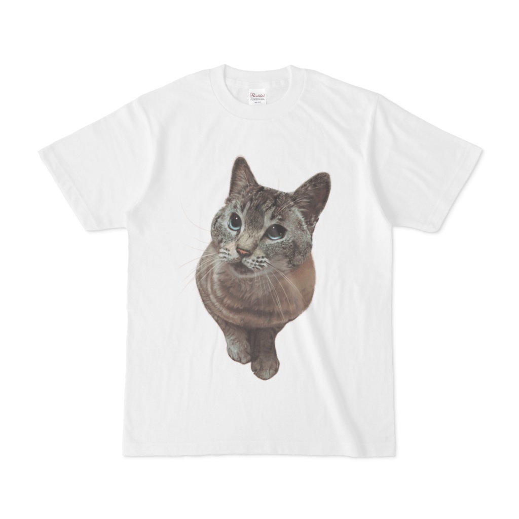 ねこのそらTシャツ