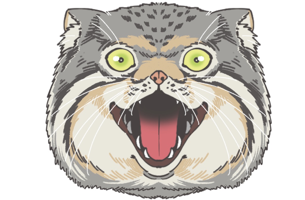 ふかふかクッション-マヌルネコ顔(片面)