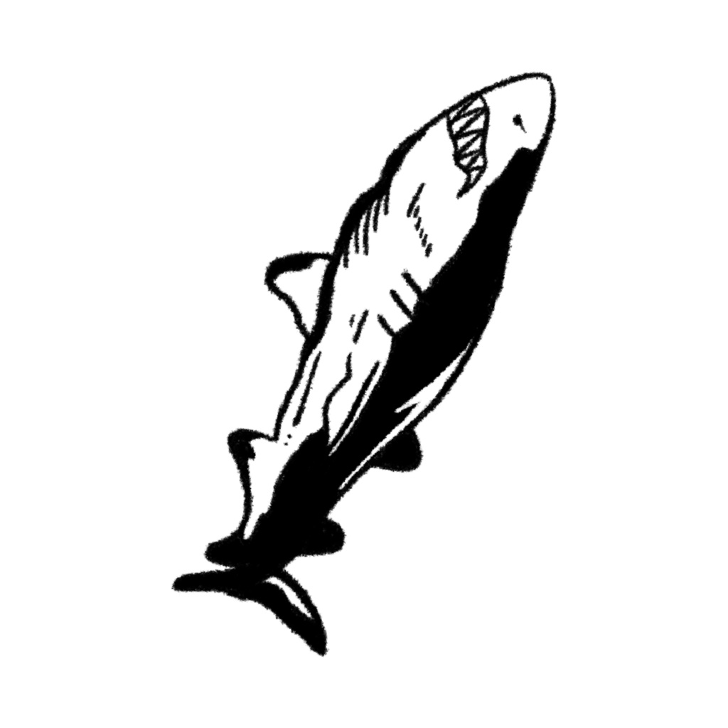 サメタトゥーシール