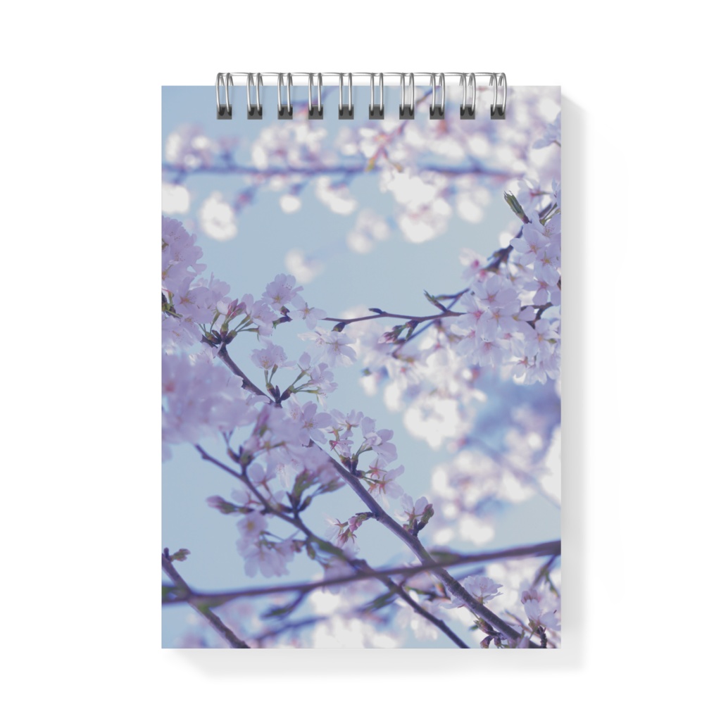 青空桜